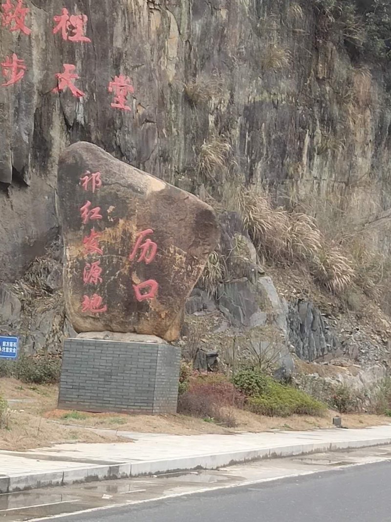 核心产区祁门红茶手工祁红香螺