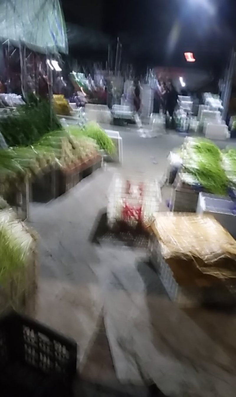 中上青韭黄