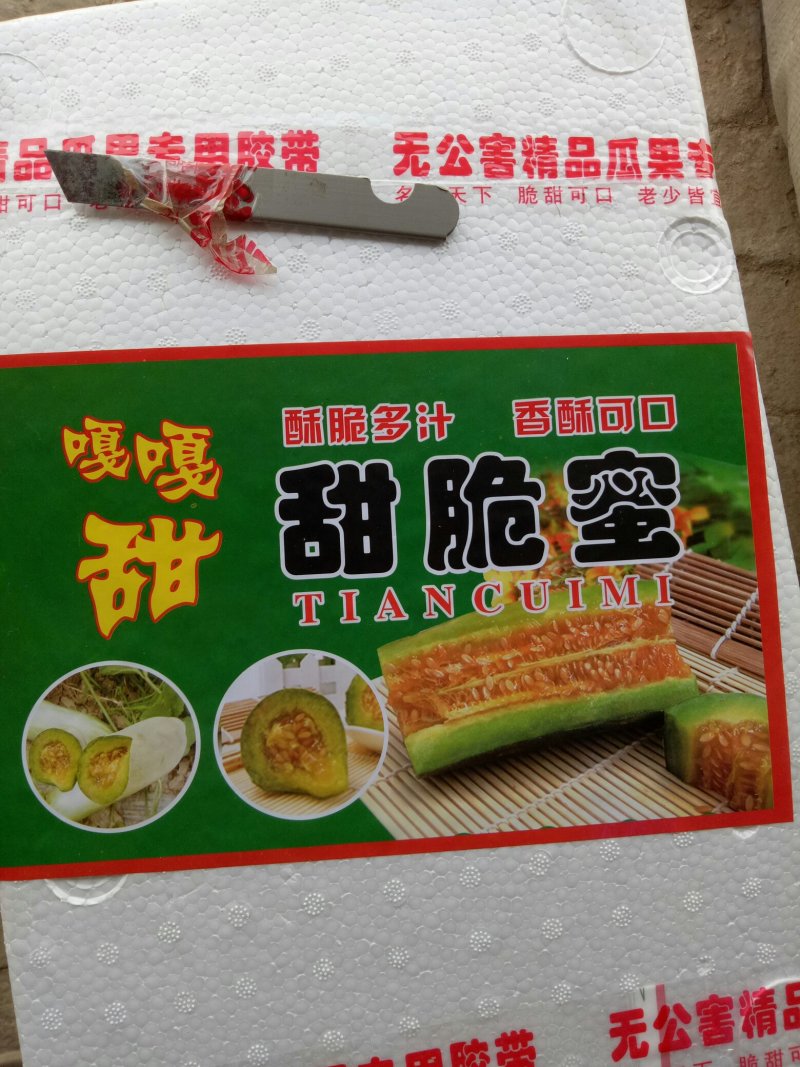 博洋61甜瓜甜瓜博洋甜瓜3月份上市，产地直供，