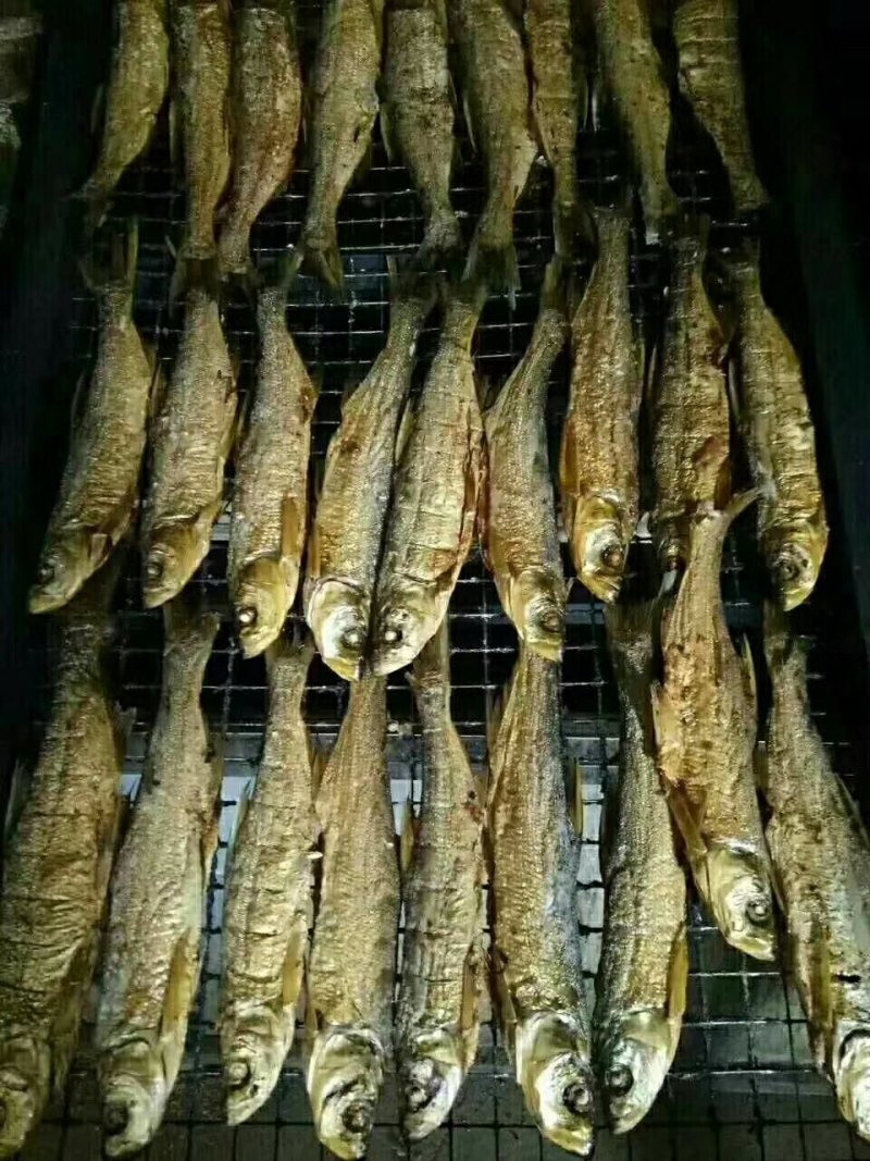 翘嘴鱼火焙鱼淡水鱼烟熏鱼