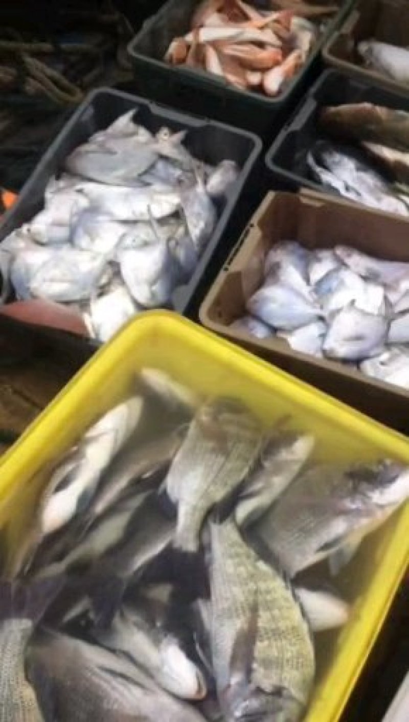 内海地笼网水咕鱼通货