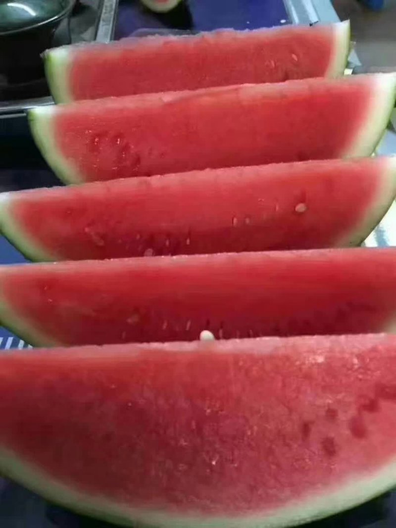 无籽8424，有籽8424，大量有货，保证百分百成熟