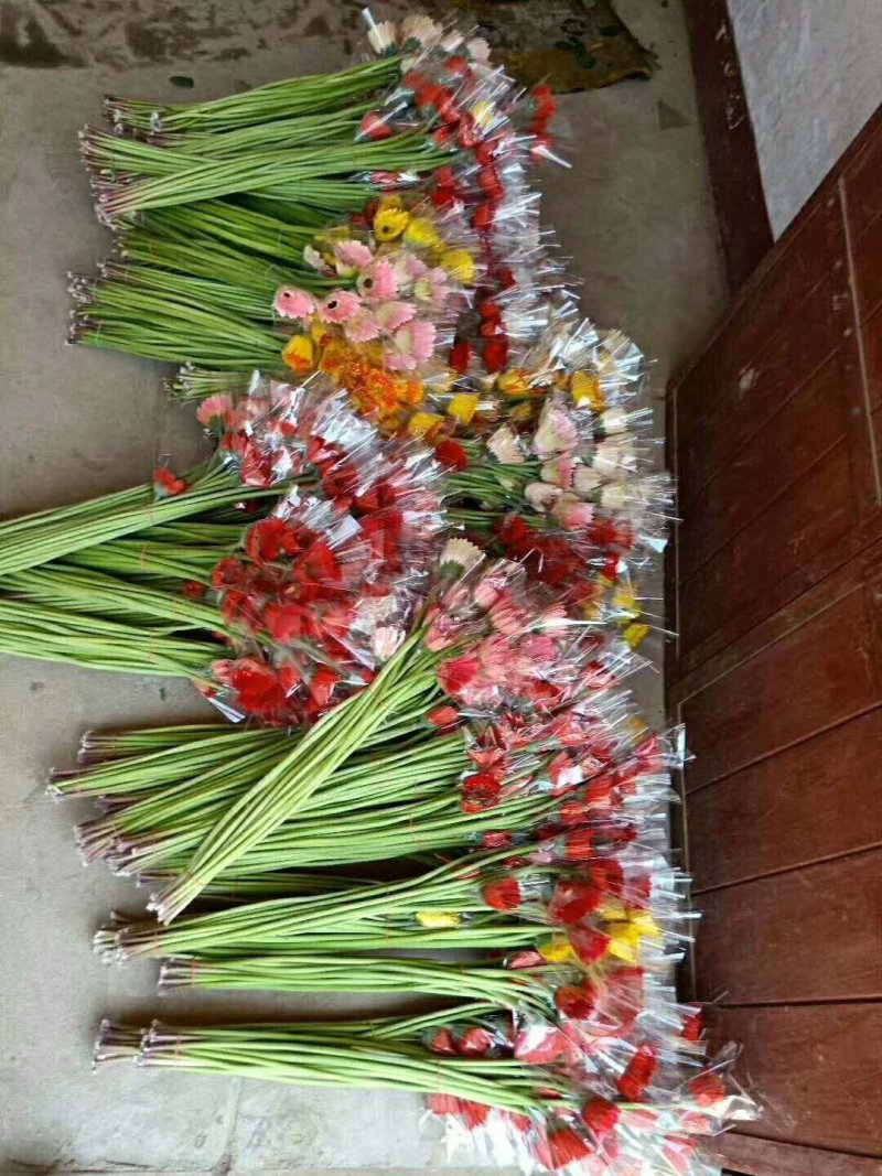 玫瑰鲜切花