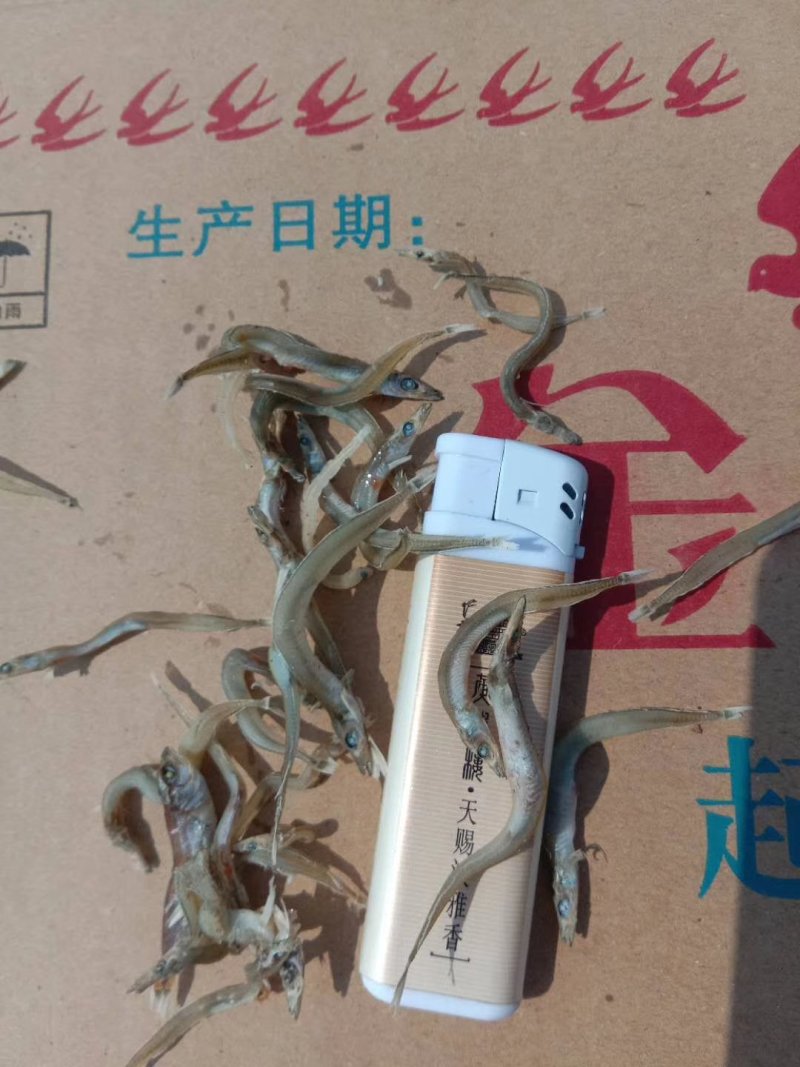 小条面条鱼（银针鱼），欢迎合作