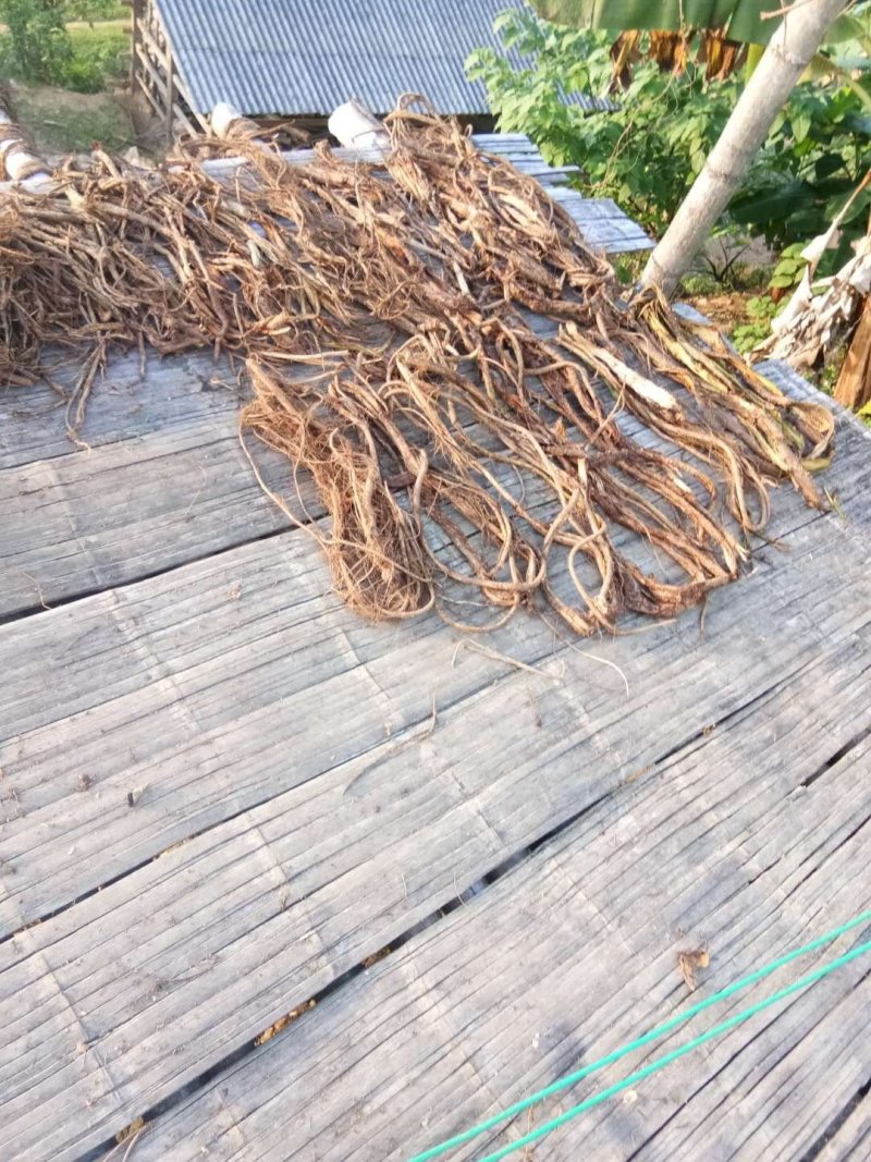 糯米藤需要干货快联系我。下单来