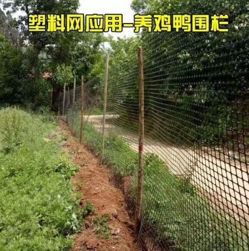加厚玉米网圈地围栏网拦鸡网鱼塘防护网大棚防兜水网