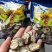 新疆塔什库尔干黑玛卡2斤起包邮发货