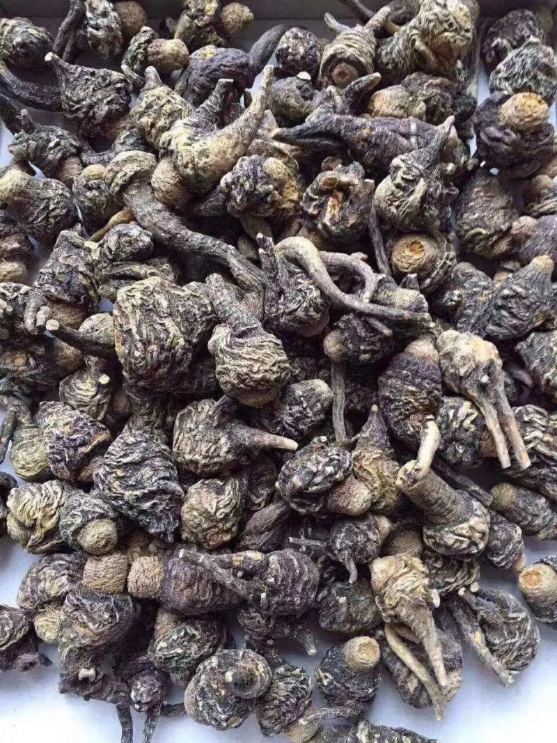新疆塔什库尔干黑玛卡2斤起包邮发货