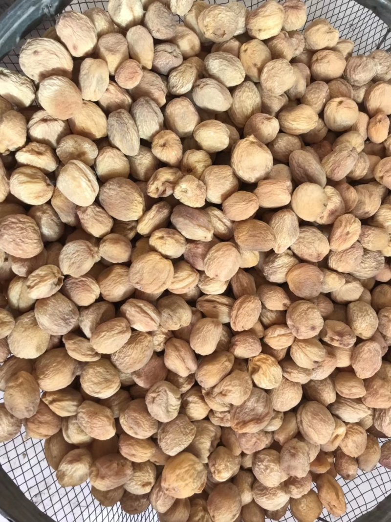 阿克苏库车小白杏干