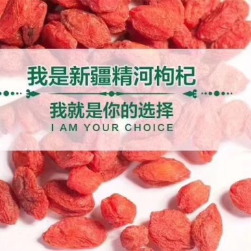 新疆精河红枸杞枸杞王