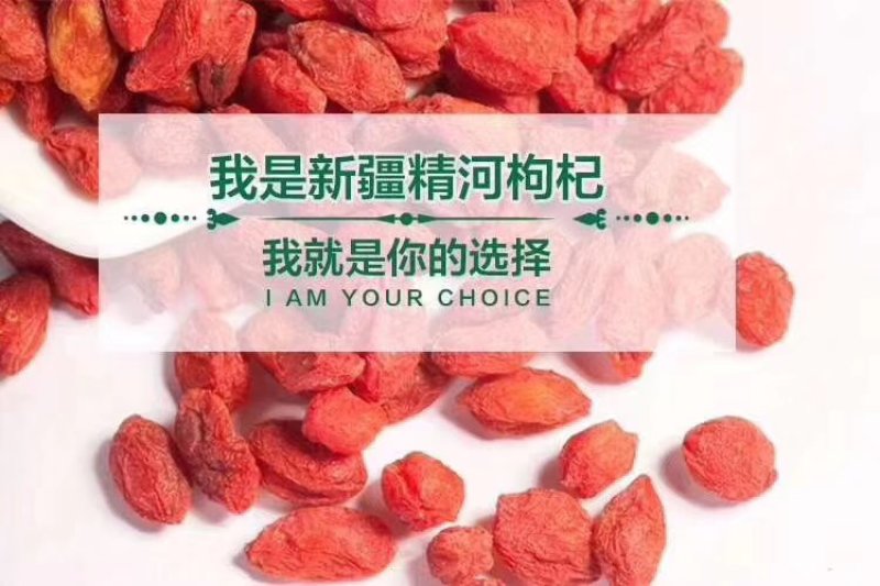 新疆精河红枸杞枸杞王