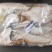 平头鲽鱼（美国）野生16kg/箱