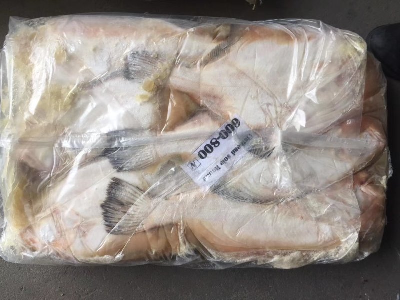 平头鲽鱼（美国）野生16kg/箱