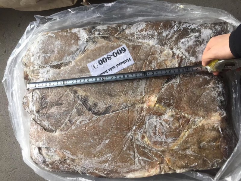 平头鲽鱼（美国）野生16kg/箱