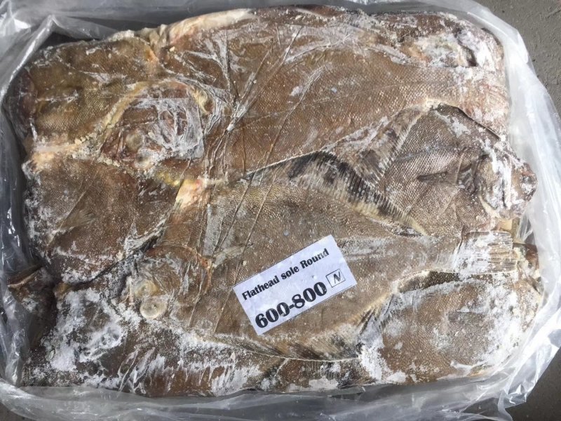 平头鲽鱼（美国）野生16kg/箱