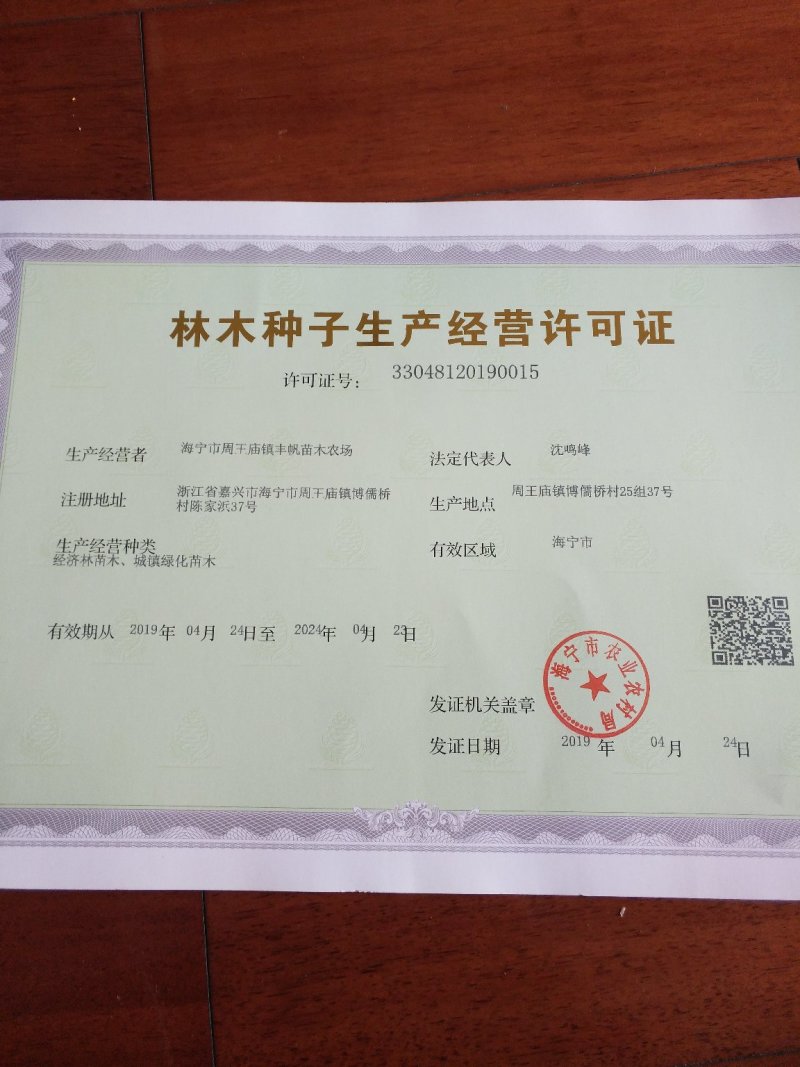 黑珍珠果桑（味甜耐寒品种南北方都可种植)