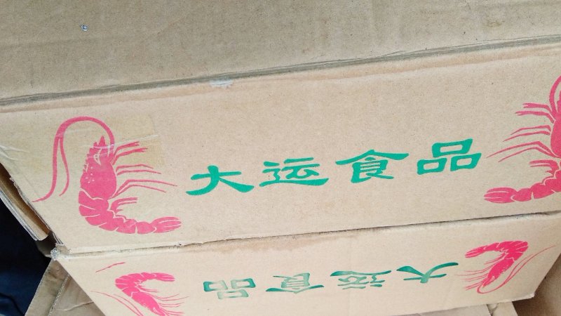 南极鳞虾
