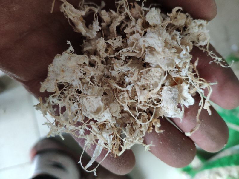 橘络橘子内皮丝货好量大要多了有优惠