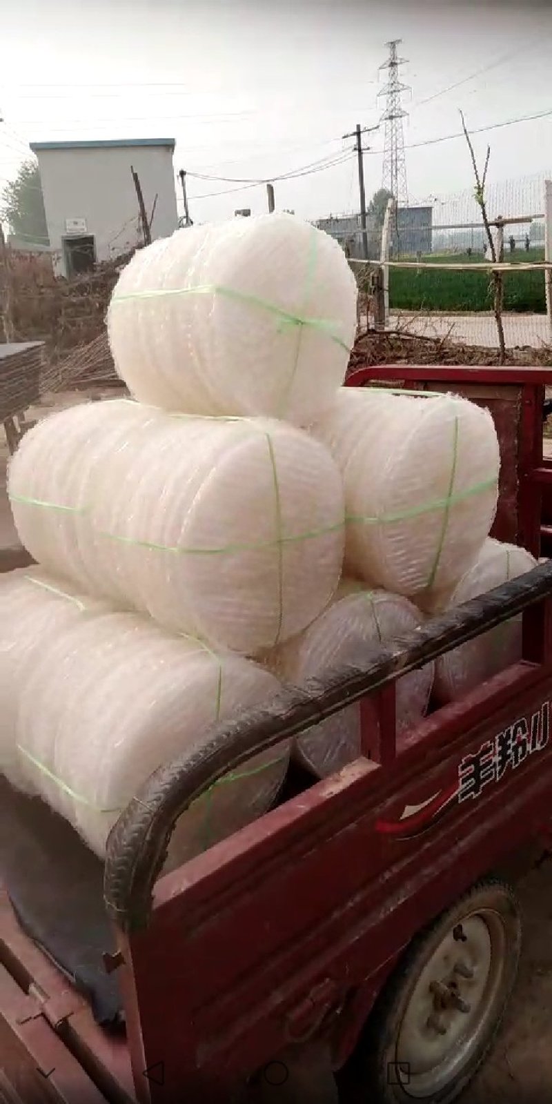 纯手工绿豆粉皮