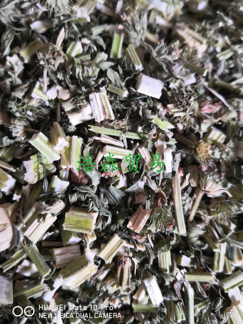 益母草河北新干货量大从优欢迎选购