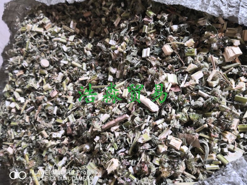 益母草河北新干货量大从优欢迎选购