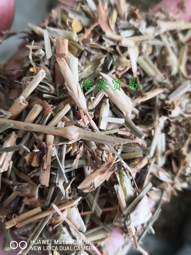瞿麦干货散装量大从优欢迎选购各种中药材