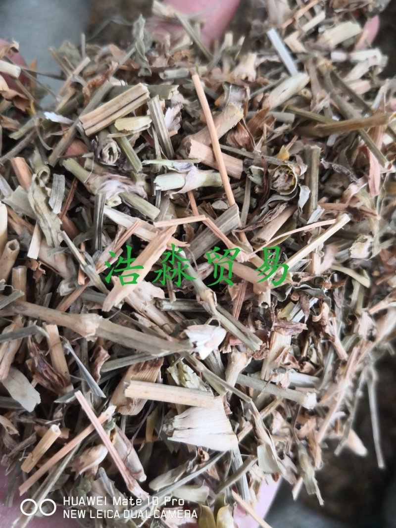 瞿麦干货散装量大从优欢迎选购各种中药材