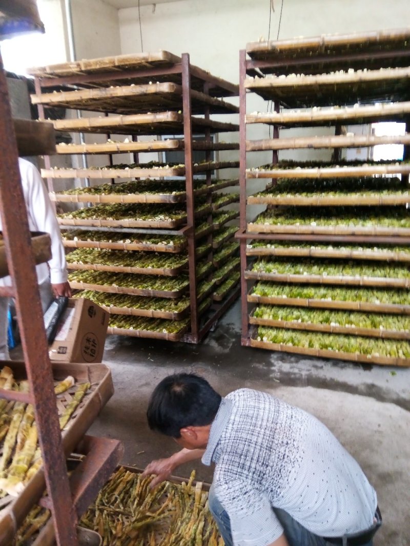 黄山扁笋尖