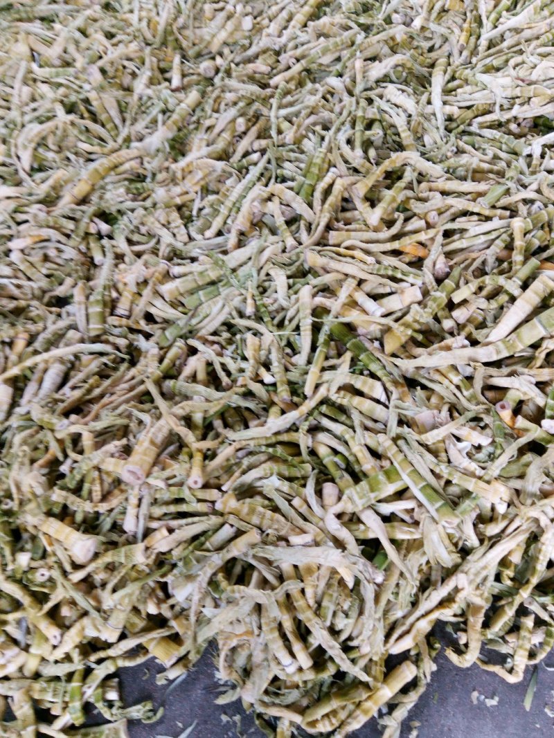 黄山扁笋尖