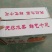 精品甜瓜，量大从优，产地直发，欢迎老板进店联系