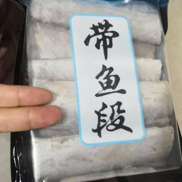 带鱼中段带鱼新鲜冷冻海鲜活刀鱼中段带鱼段