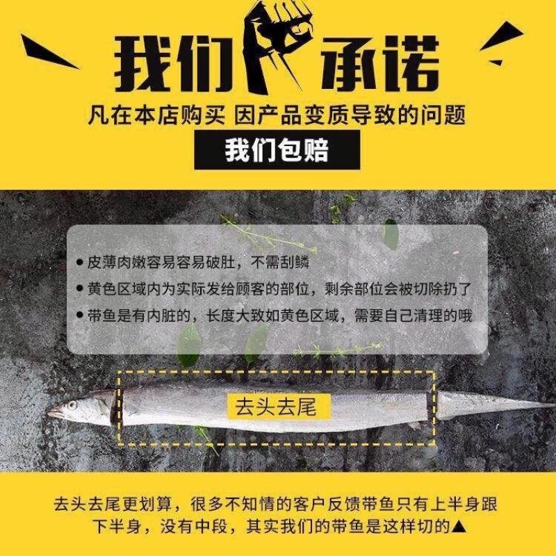 带鱼中段带鱼新鲜冷冻海鲜活刀鱼中段带鱼段