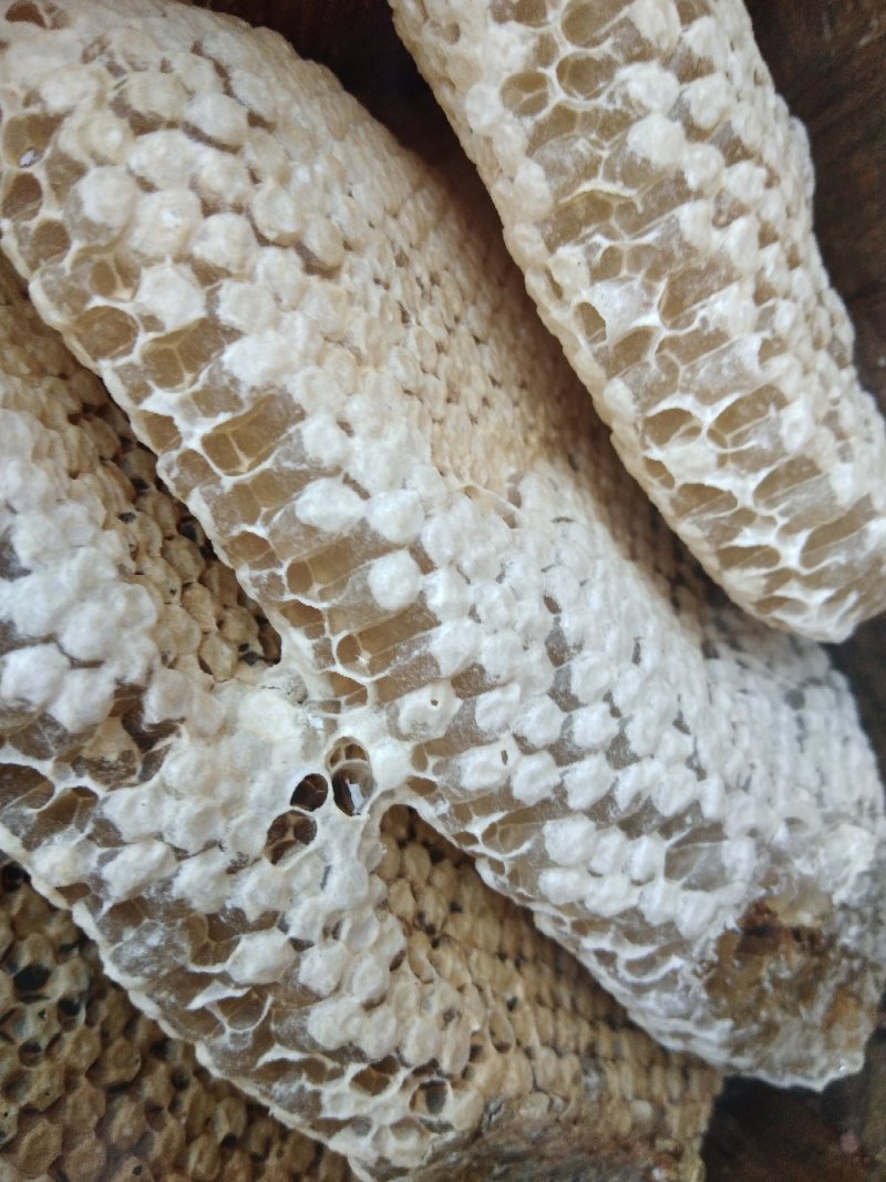 野生蜂蜜
