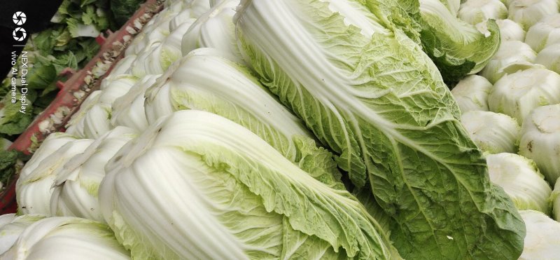 黄心大白菜