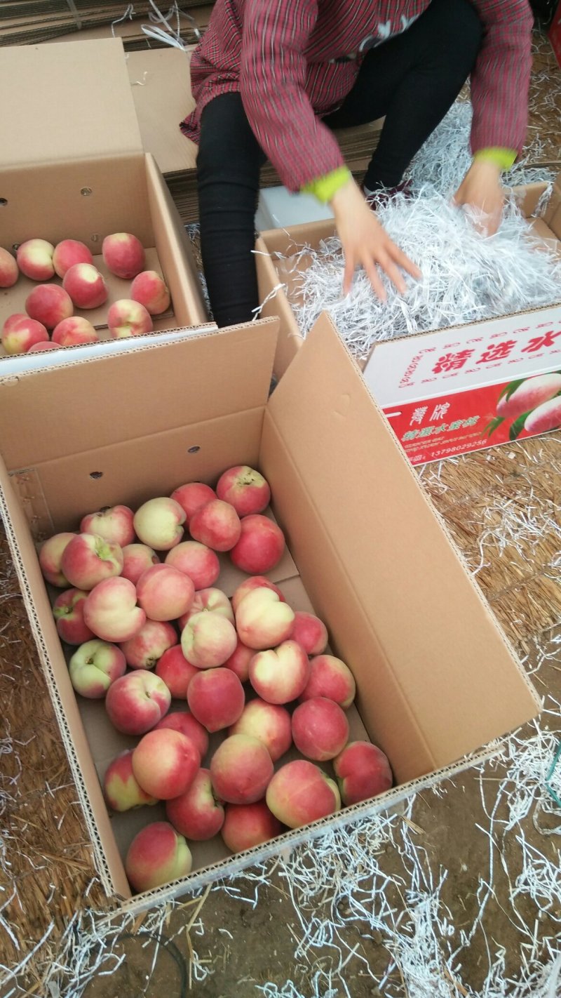红梅桃