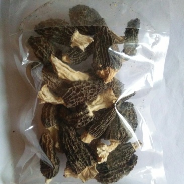 羊肚菌尝鲜包