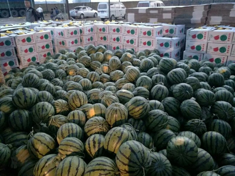 西瓜