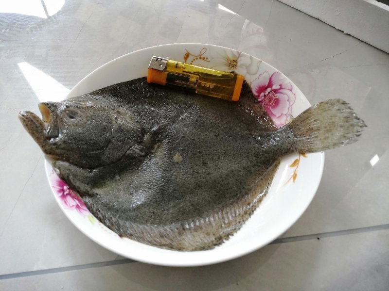 多宝鱼，偏口鱼，小嘴鱼，石桨子。小12一条，大25