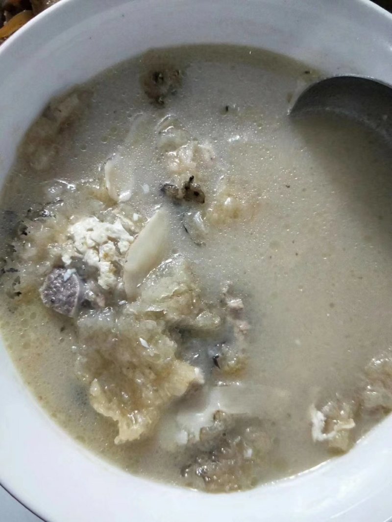 海中刺猬刺龟鱼鱼皮