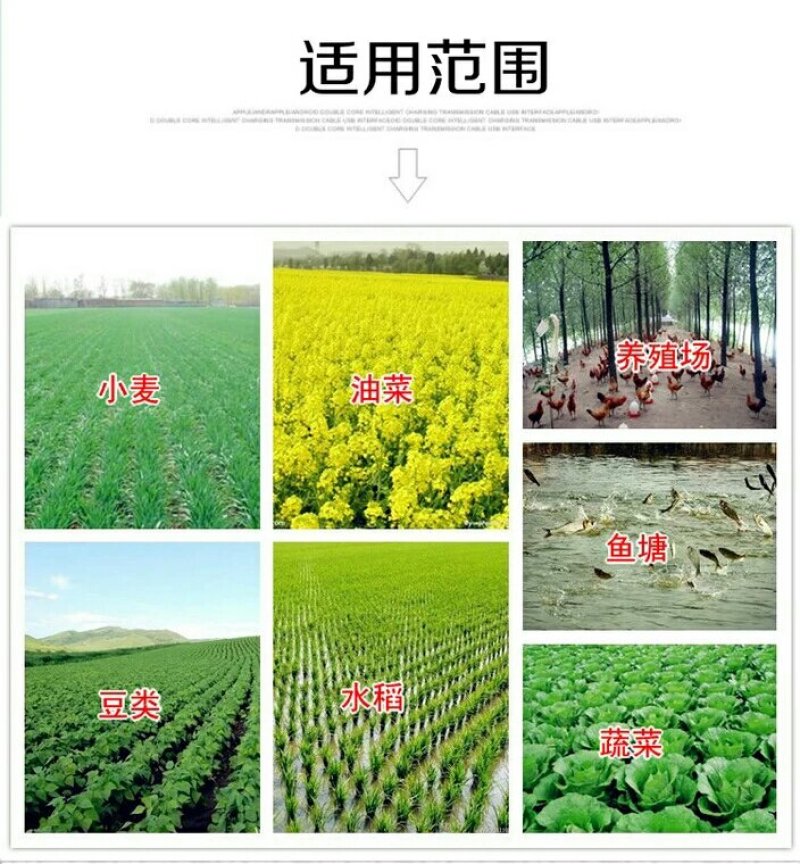 电动施肥器充电撒肥机多功能鱼塘龙虾投饲料机农用播种机撒化