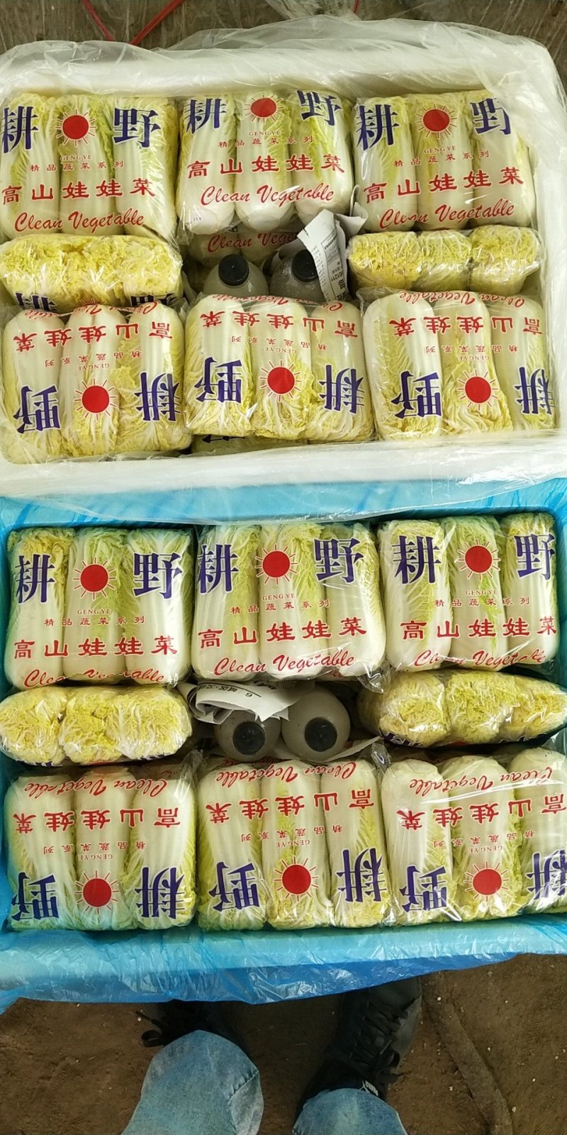 娃娃菜顶级，毛菜大量供应！