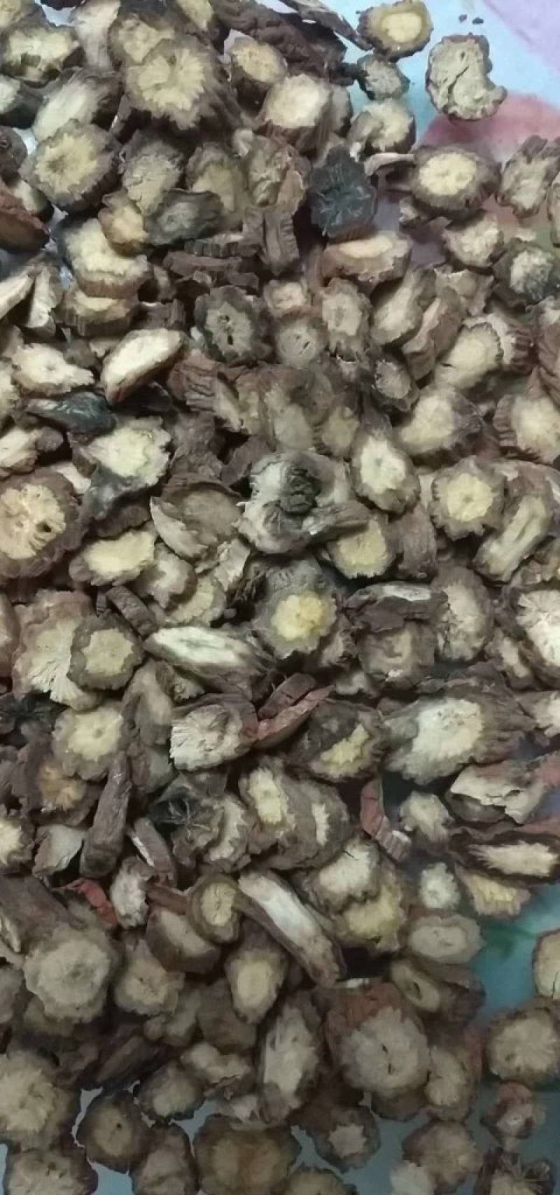 原装丹参丹参片丹参个子批发各种中药材批发
