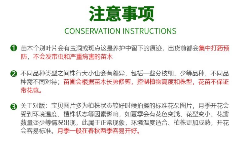风车茉莉浓香络石藤银丝茉莉花苗盆栽庭院阳台爬藤植物