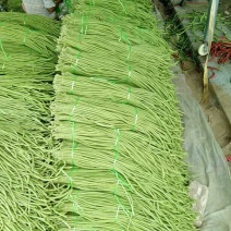 广西南宁大量供应优质长豆角质量好价格合理