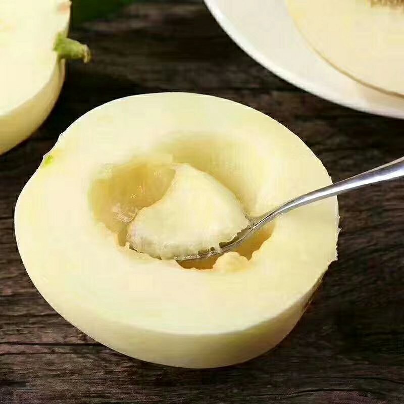 阎良甜瓜