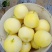 新乐市4月份甜瓜二零绿宝大量上市欢迎新老客户前来选