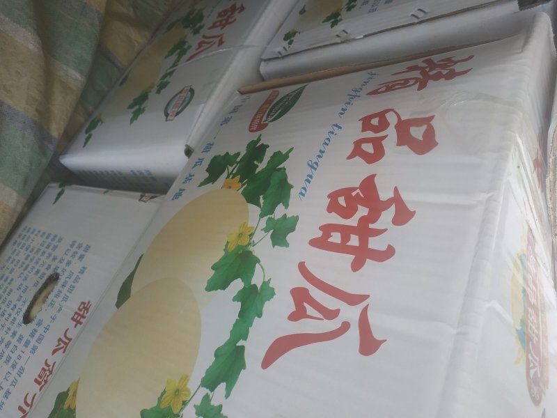 甜瓜