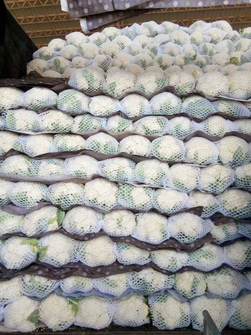 有机花菜，个头2-3斤
