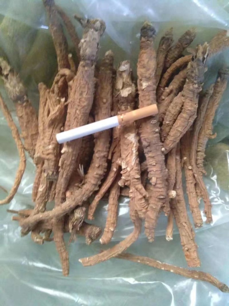 带皮沙参