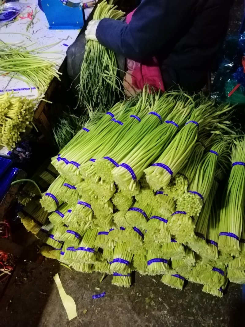 蒜苔！质量真好！